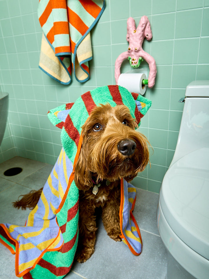 Dog wearing hooded towel by Dusen Dusen