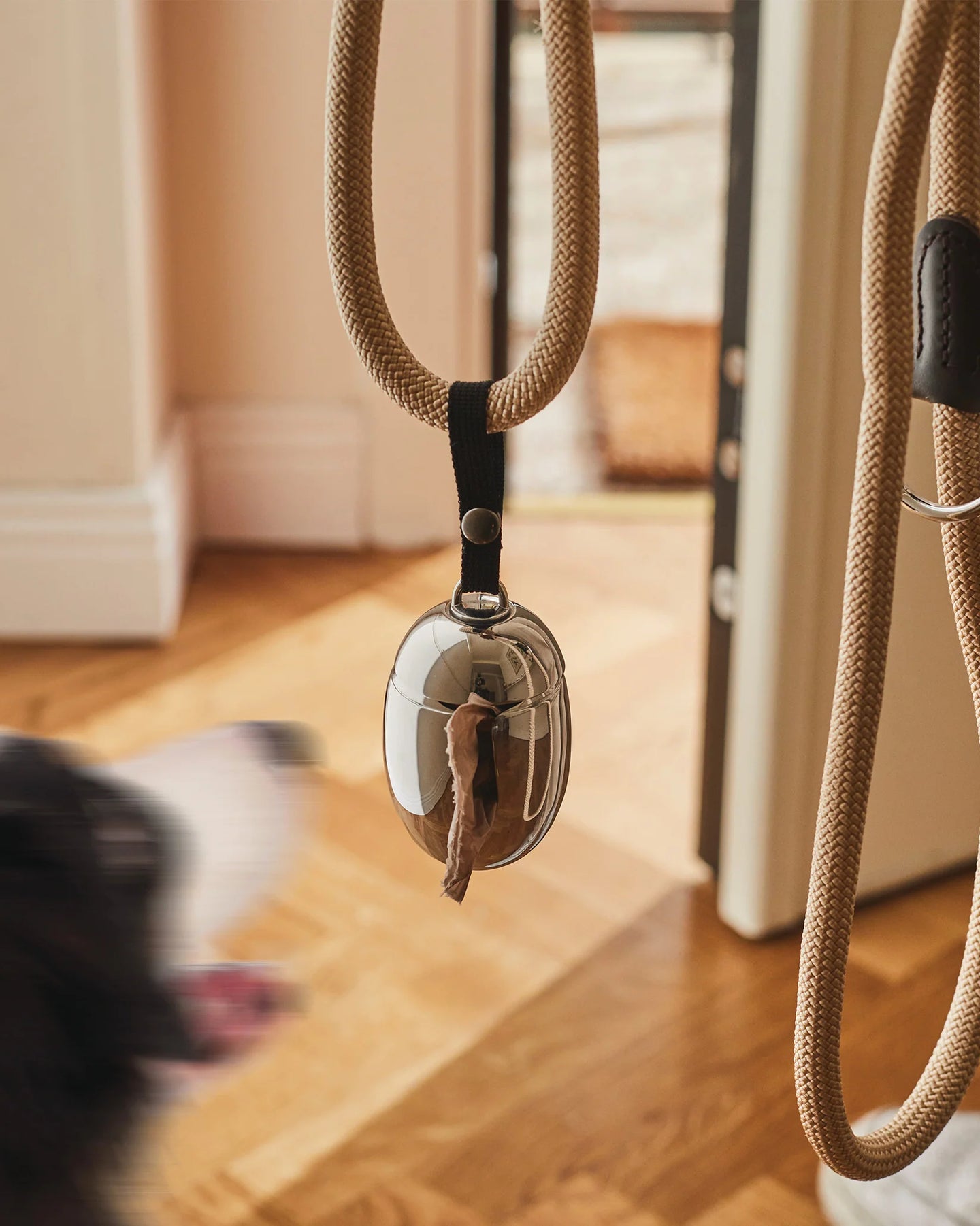 Dog's leash with a silver waste bag carrier attached on a wooden floor