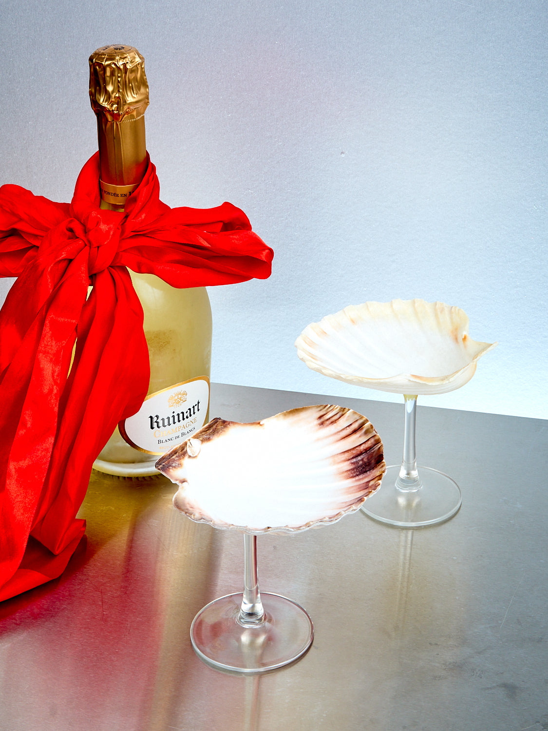 Shell Glass