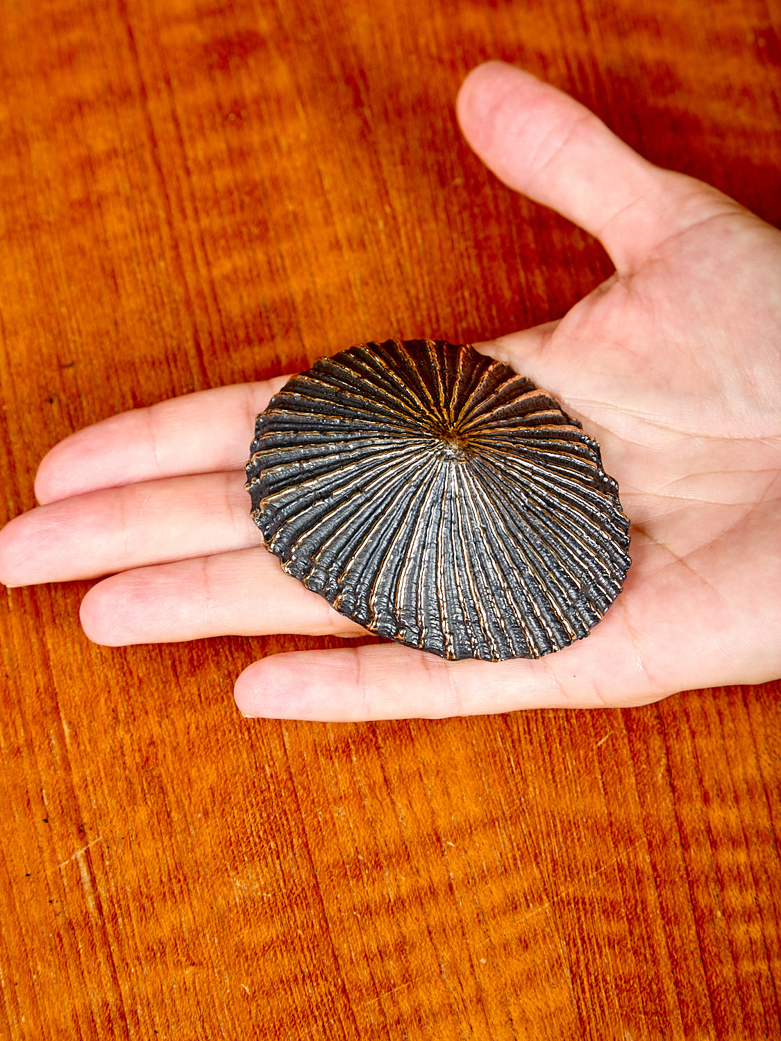 Mollusk Bottle Opener