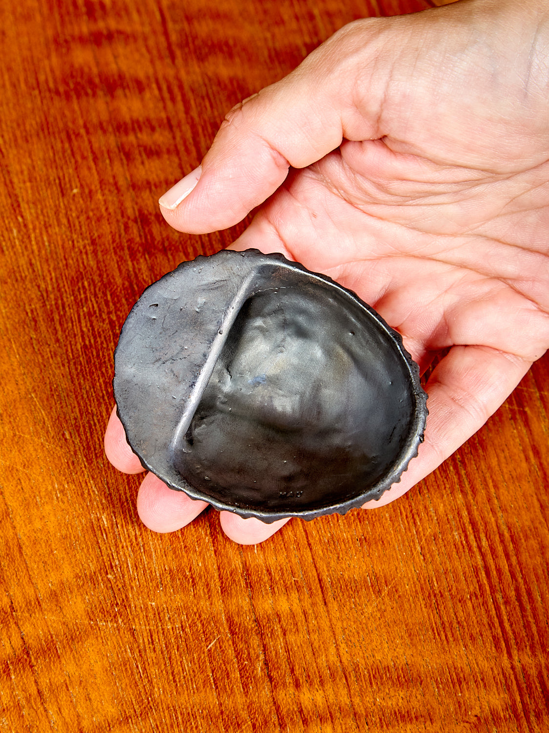 Mollusk Bottle Opener
