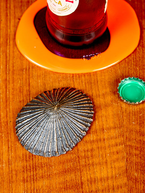 Mollusk Bottle Opener