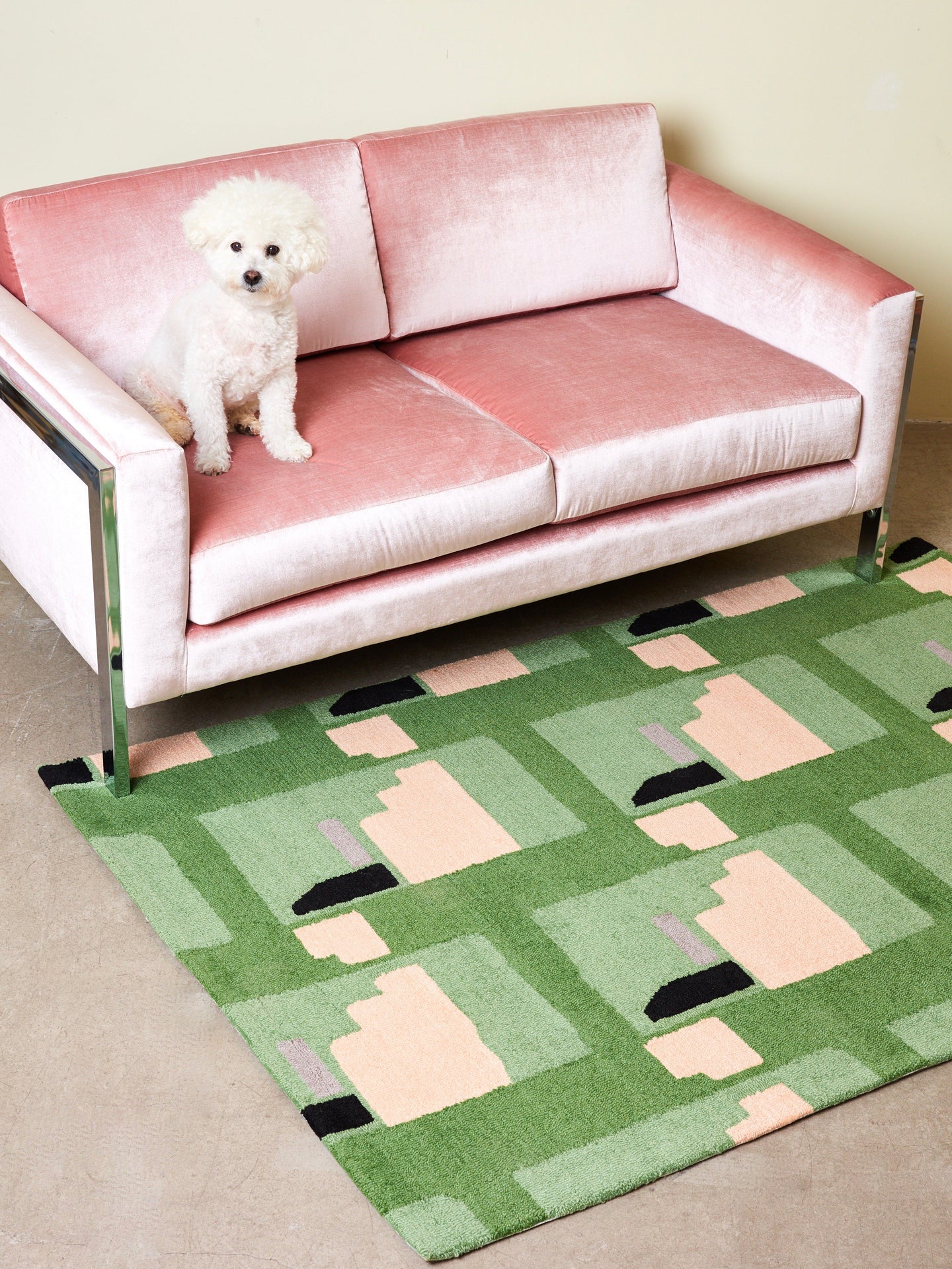 A wite dog sits atop a pink velvet couch on the Purple Noon rug.